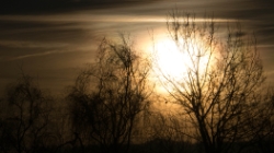 (2014-01) Ballade dans les champs